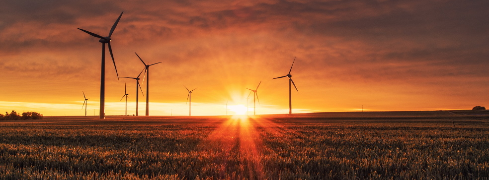 Wind farm construction services Wind farm construction services