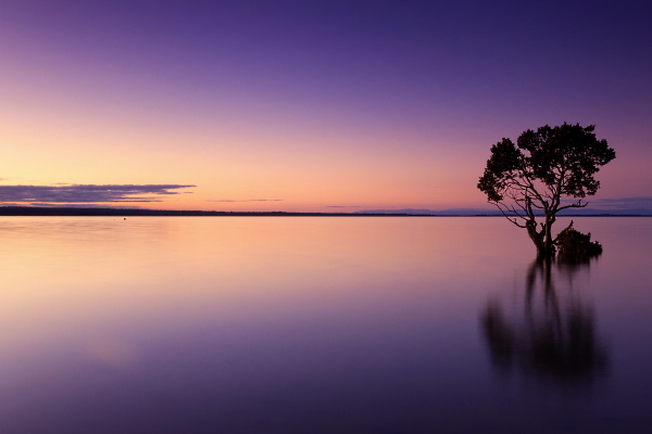Проектирование водоочистных сооружений
