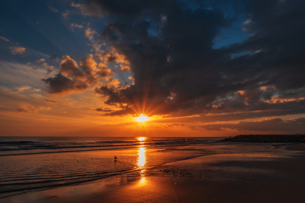 Генеральный подрядчик строительства солнечной электростанции в России и СНГ: управление проектом