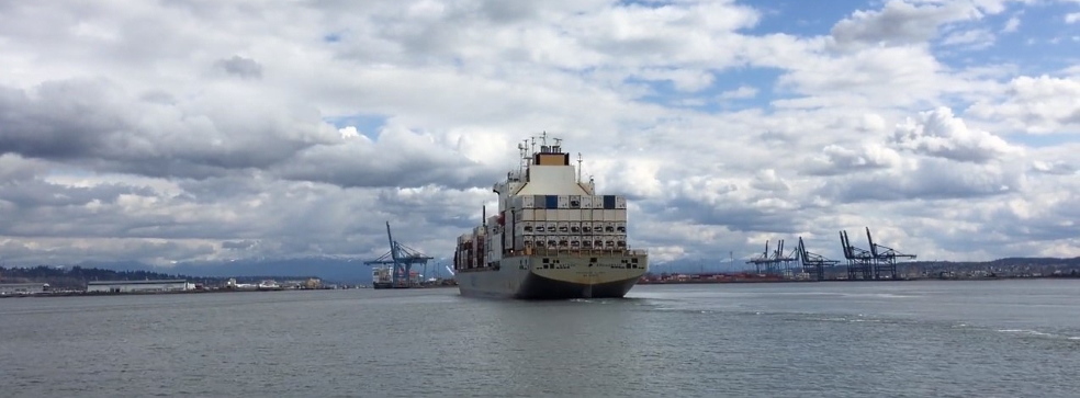 Engineering design of seaports under the EPC contract Engineering design of seaports under the EPC contract