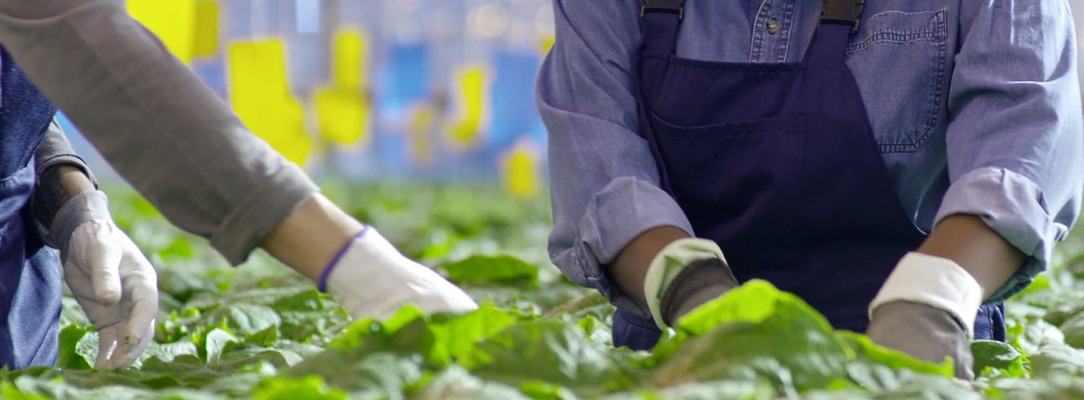 Farm loans and agricultural finance in India Farm loans and agricultural finance in India