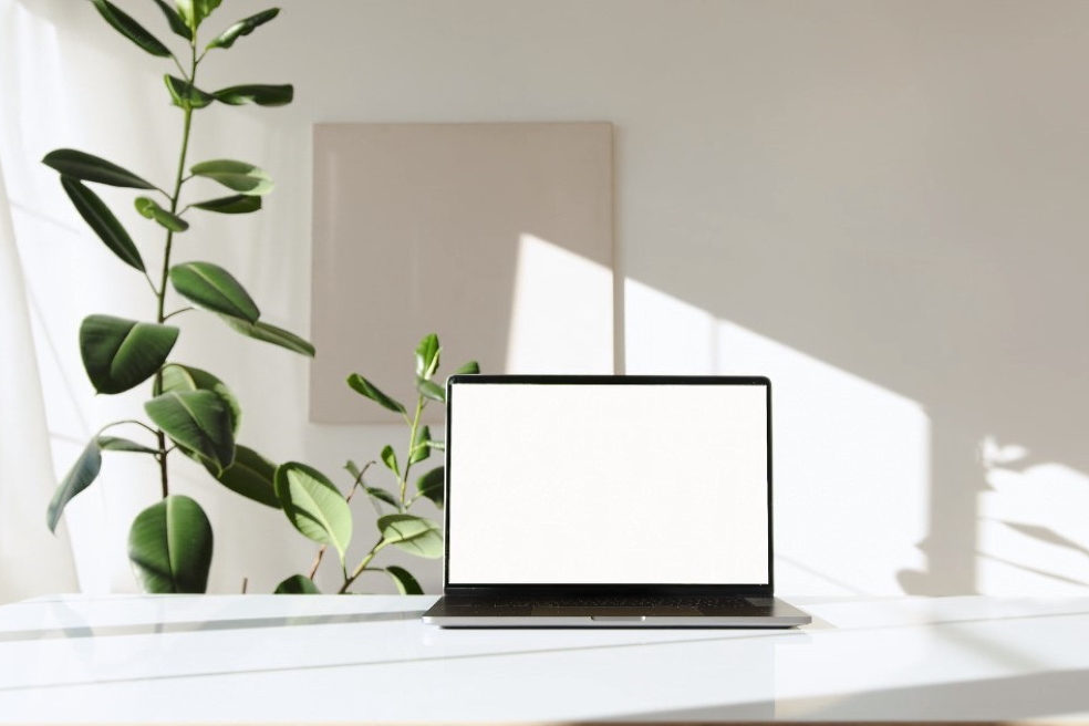 Прямые иностранные инвестиции для инновационных проектов и бизнеса