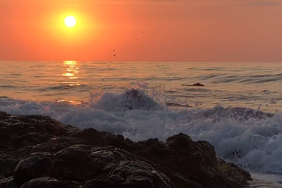 Project finance for the construction of waste processing and waste incineration plants Project finance for the construction of waste processing and waste incineration plants